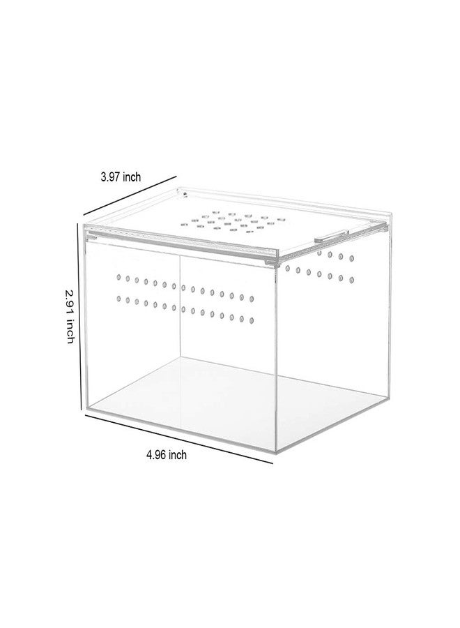 NANEEZOO Acrylic Reptile Breeding Box, 5x4x3 Inch Nano Flat/Long Enclosure Transparent Reptile Breeding Box Terrarium Cage Tank for Tarantula Scorpion Sling Isopods Invertebrates Insect Mantis - Image 3